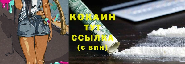 ГАЛЛЮЦИНОГЕННЫЕ ГРИБЫ Алзамай