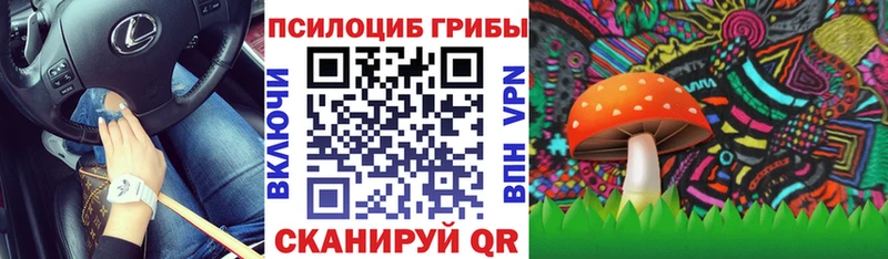как найти   Константиновск  Псилоцибиновые грибы Cubensis 